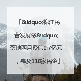 “锦江民营发展贷”落地两月授信1.7亿元，惠及118家民企
